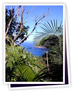 Historic Puerto Vallarta